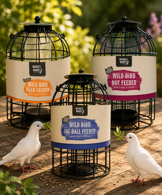 Weatherproof Metal Hanging Bird Feeder for Fat Balls, Seeds & Nuts – Outdoor Wild Bird Feeding Cage