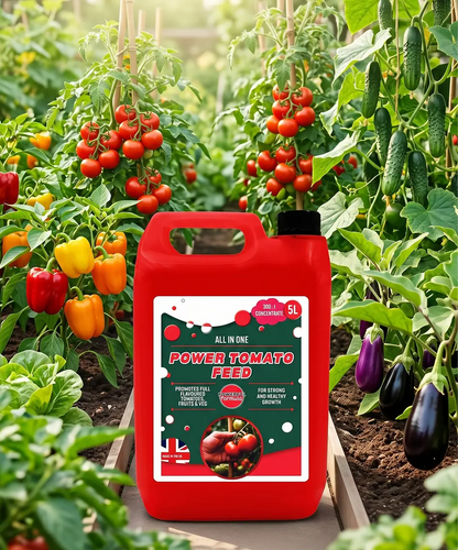 5L Concentrated Nutrient-Rich Tomato Feed – For Tomatoes, Peppers, Cucumbers & Aubergines