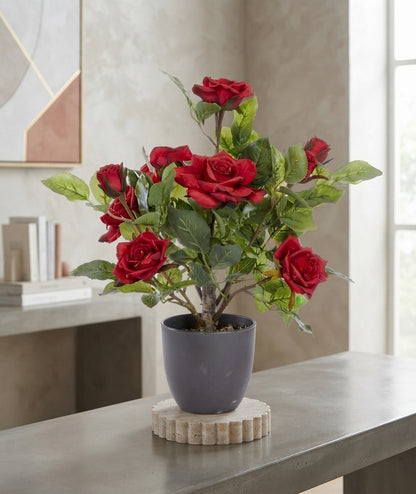 40cm Artificial Regent Roses Potted Plant - Red, Pink & White