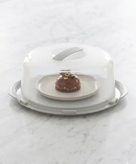 Clear Plastic Round Cake & Dessert Box with Lid & Handles