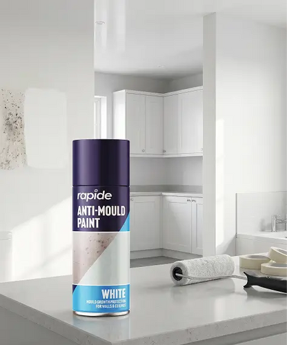 Anti-Mould Wall & Ceiling Paint 400ml – Prevents Mould, Damp & Mildew