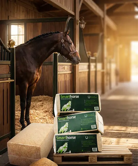 Highly Absorbent Premium Softwood Horse Shavings 20kg – Dried Kiln Bedding Chips