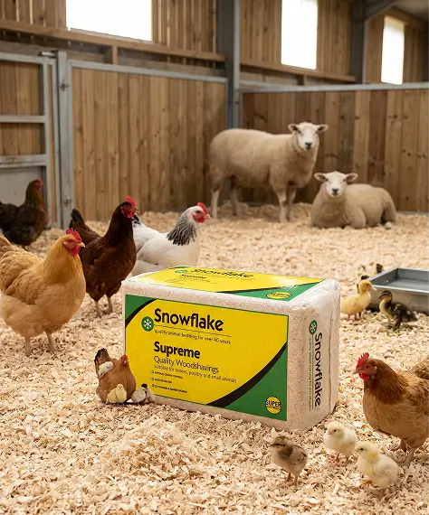 Softwood Timber Bale 15kg Animal Bedding for Poultry, Sheep & Horses