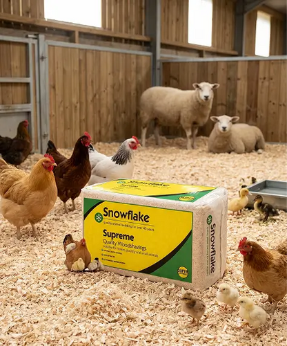 Softwood Timber Bale 15kg Animal Bedding for Poultry, Sheep & Horses