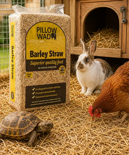 Un-Chopped Soft Barley Straw Bedding for Chickens, Rabbits & Tortoises