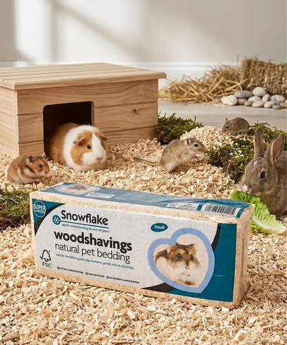 Dust Extracted Wood Shavings Pet Bedding – Odour Control for Rabbits, Mice, Hamsters & Gerbils