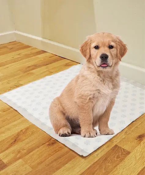 Premium 3-Layer Dog Pee Pads – Hygienic Leak-Proof Puppy Toilet Training Sheets