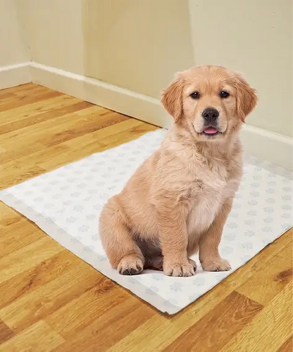 Premium 3-Layer Dog Pee Pads – Hygienic Leak-Proof Puppy Toilet Training Sheets