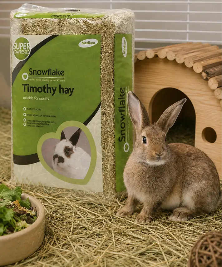 High Quality Timothy Hay Natural Fibre Grass – Dust Extracted Feed for Small Pets