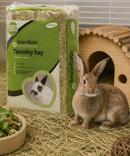 High Quality Timothy Hay Natural Fibre Grass – Dust Extracted Feed for Small Pets